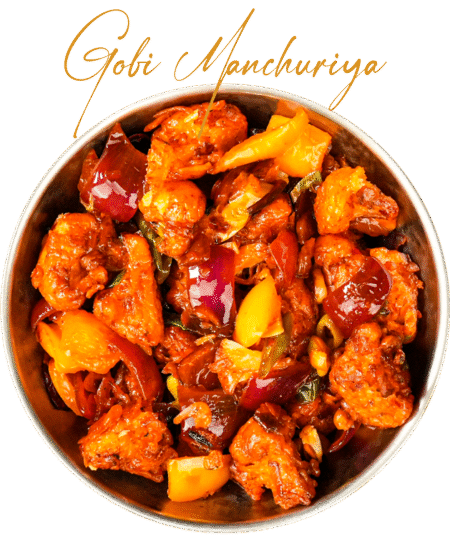 Gobi Manchuriya